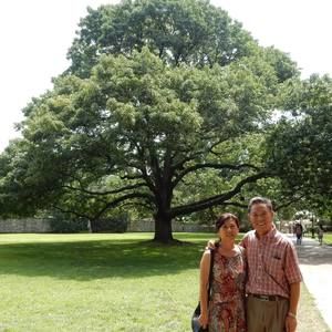 Meet your Posher, Heemi